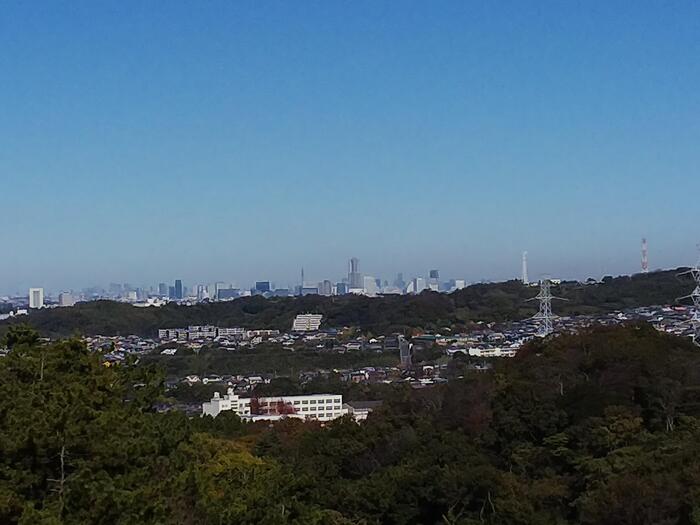 天園ハイキングコースから見た横浜市街とみなとみらい地区