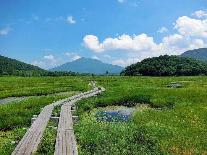 尾瀬国立公園