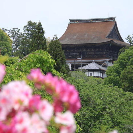 【私の好きな日本遺産】奈良県「吉野」は、自然と人の共生を垣間見られる奥大和の原風景