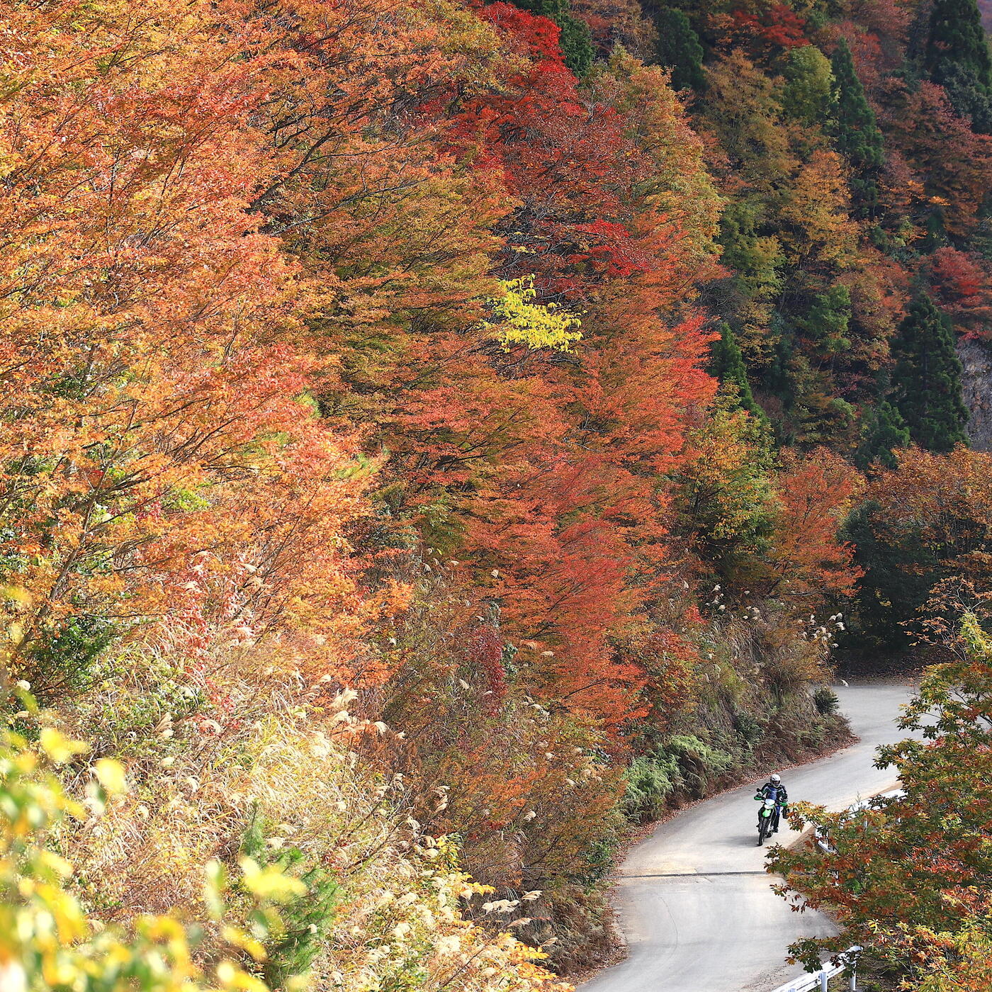 【私の好きな日本遺産】福井から京都を結ぶ古道「鯖街道」はツーリングやロングライドもおすすめ