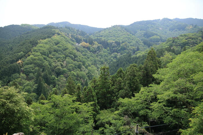 日本遺産に認定された「吉野」