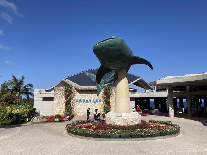 美ら海水族館