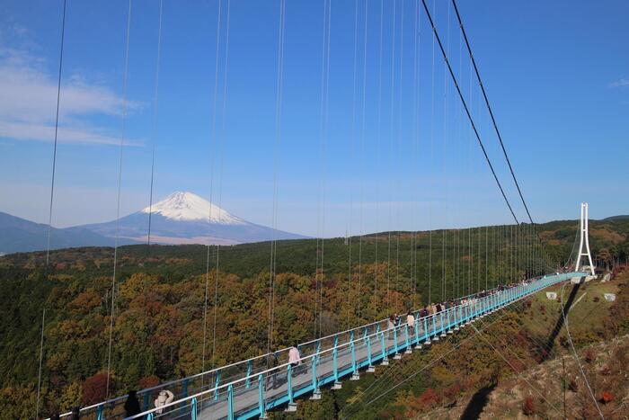 三島スカイウォーク