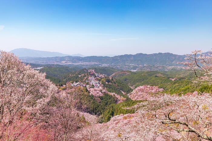 吉野山