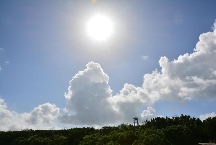 沖縄の太陽