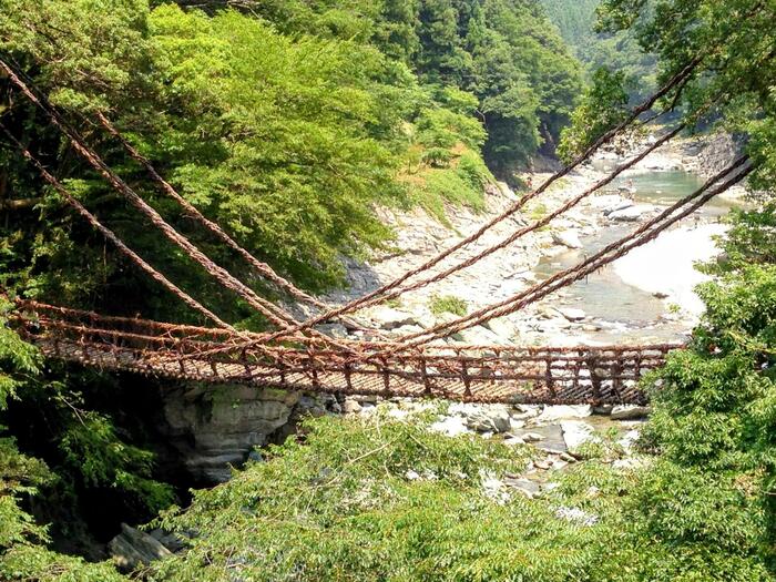 祖谷のかずら橋