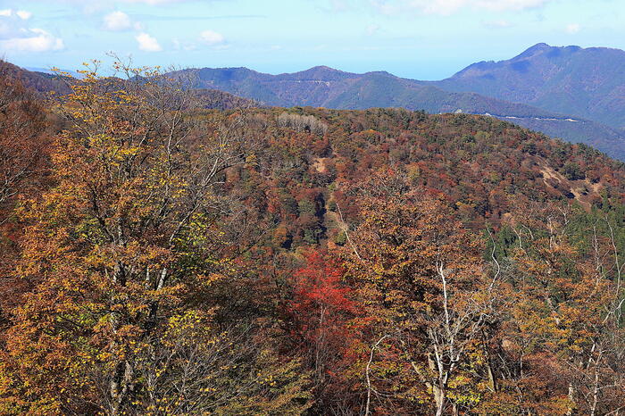 おにゅう峠