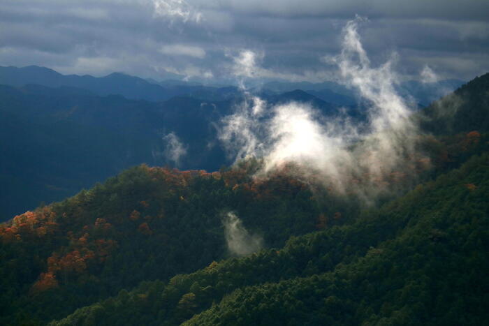 吉野山