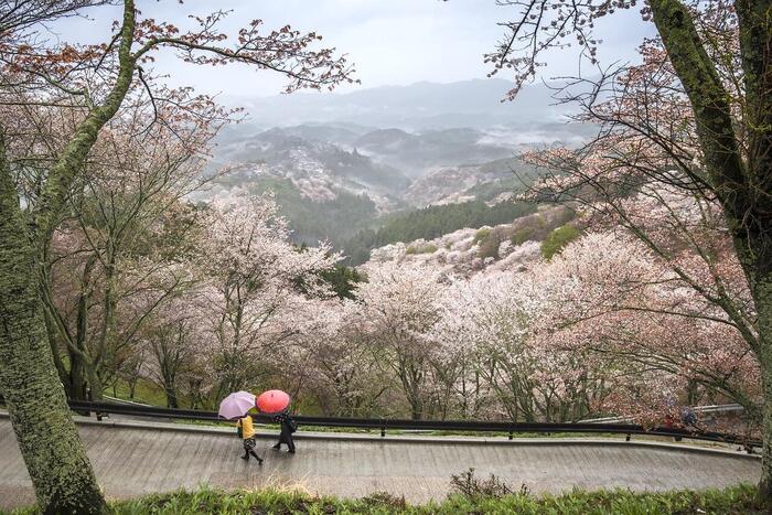 高木山展望台