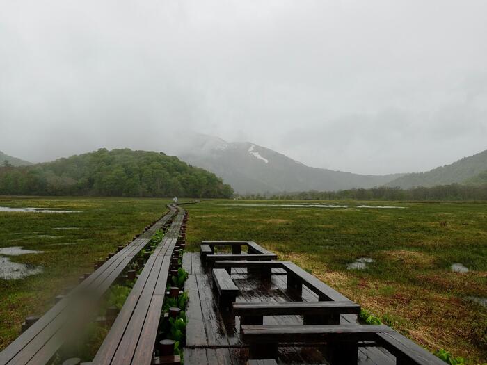 尾瀬ヶ原