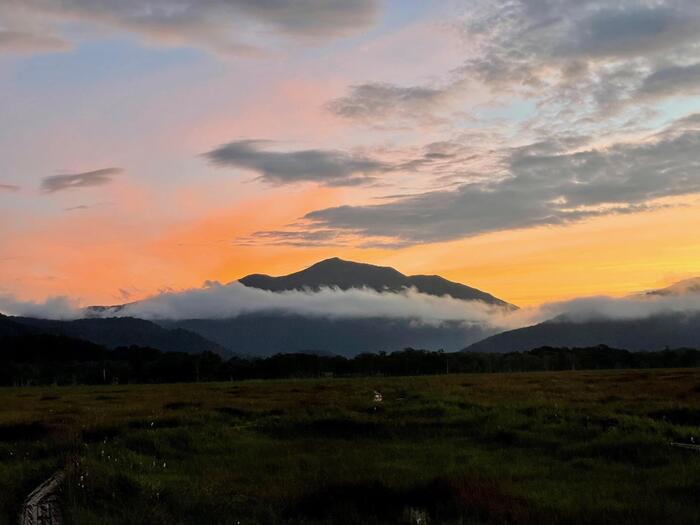 尾瀬　見晴　尾瀬ヶ原　至仏山