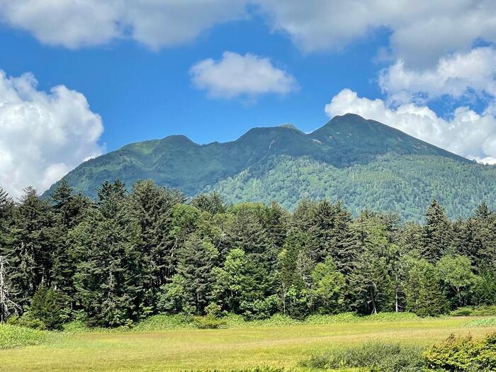 尾瀬　大江湿原　燧ヶ岳