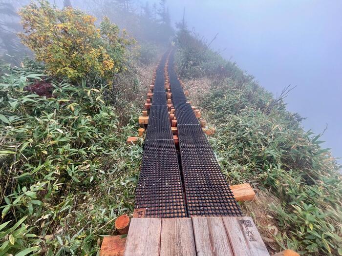 尾瀬　アヤメ平から富士見峠への登山道