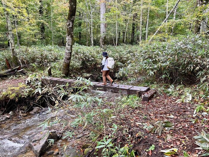 尾瀬　八木沢道　八木沢橋