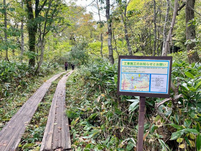 尾瀬　山ノ鼻　鳩待峠