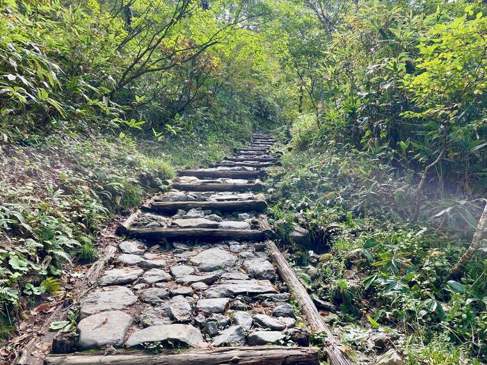 尾瀬　山ノ鼻　鳩待峠