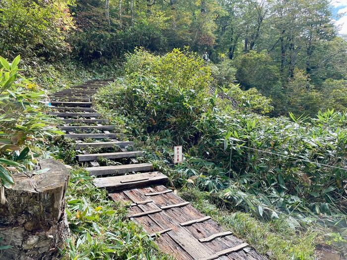 尾瀬　山ノ鼻　鳩待峠