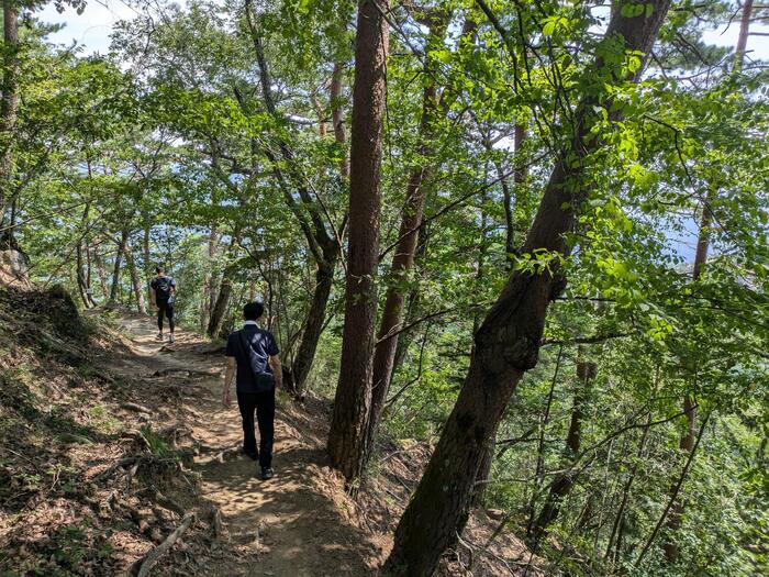 登山道