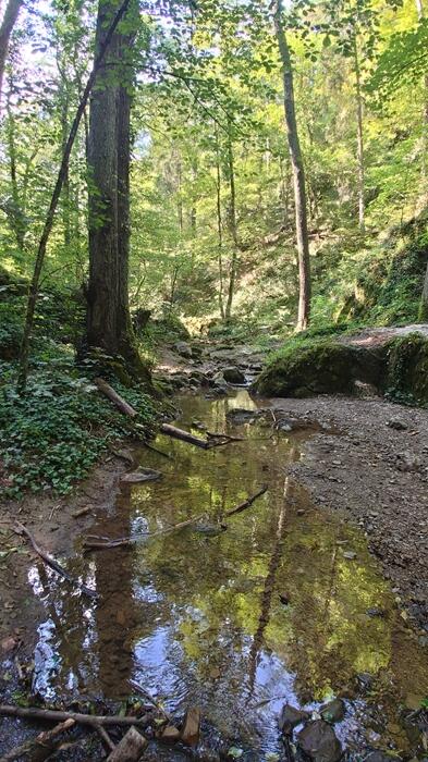 川遊びにぴったりの谷川