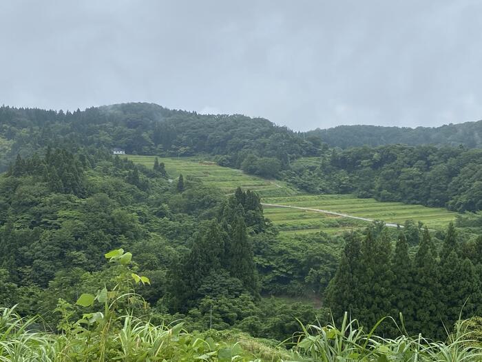 段々畑が広がる里山