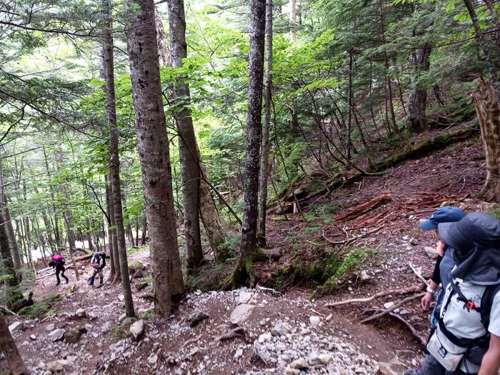 登山道が荒れている