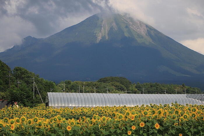 大山