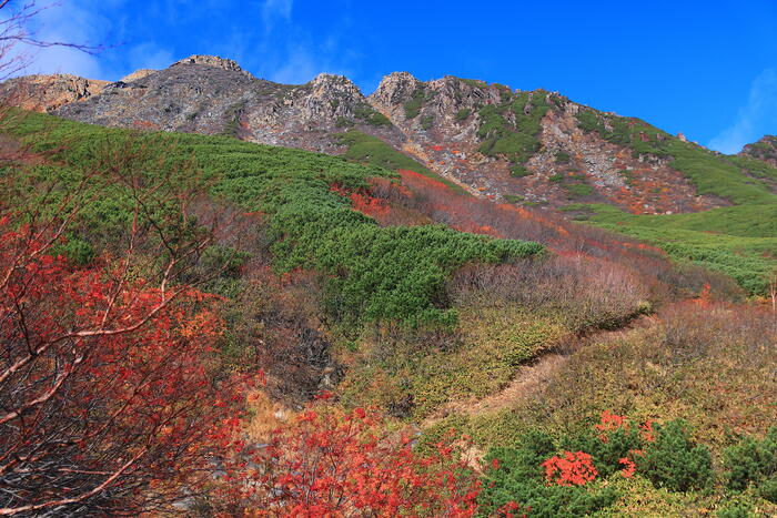 秋の御嶽山