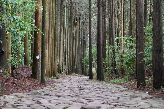 箱根旧街道の石畳