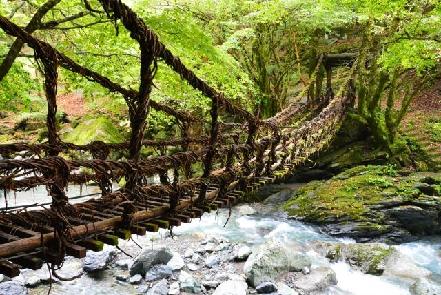 祖谷のかずら橋