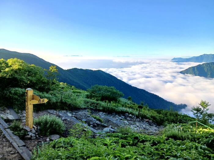 柏原新道の登山道