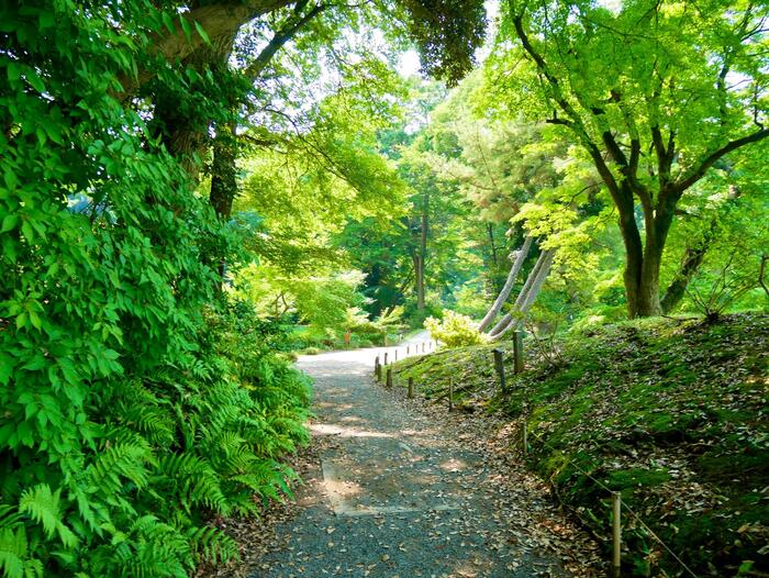 緑がいっぱいの風景