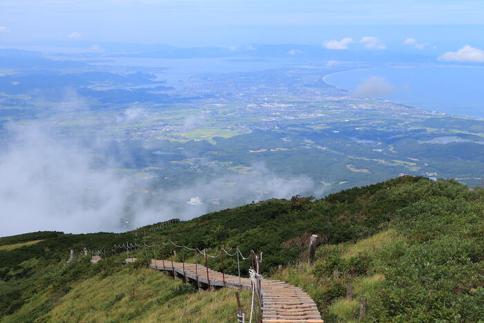 大山の登山道