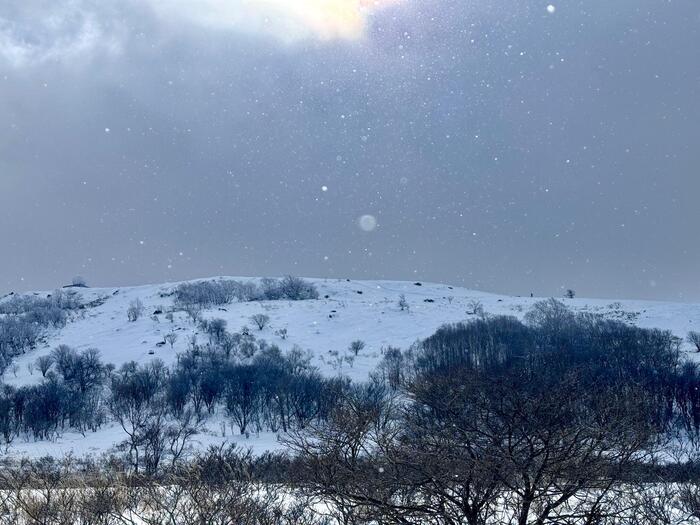 霧ヶ峰　車山　登山道