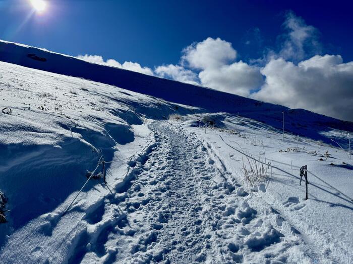 霧ヶ峰（車山）登山道