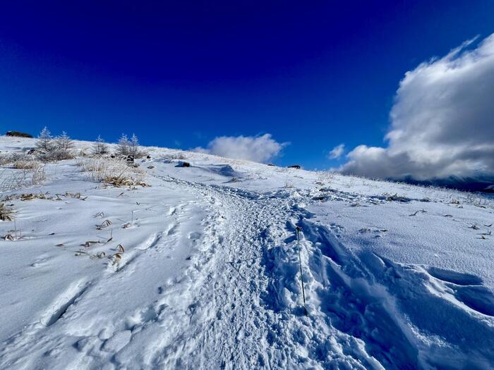 霧ヶ峰　車山　登山道