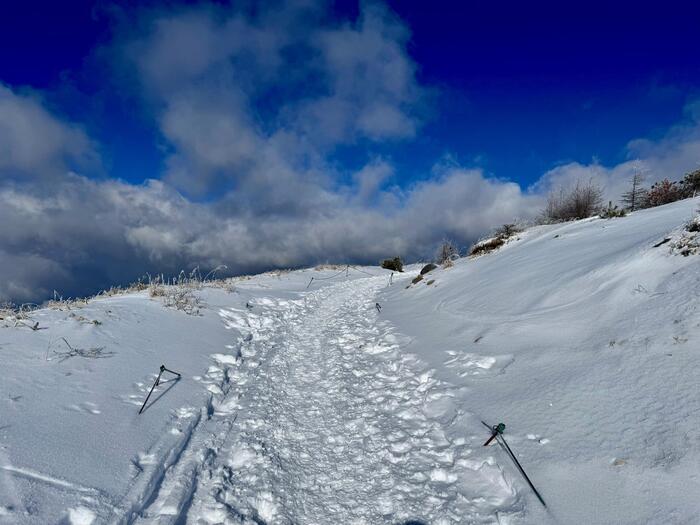 霧ヶ峰　車山　登山道