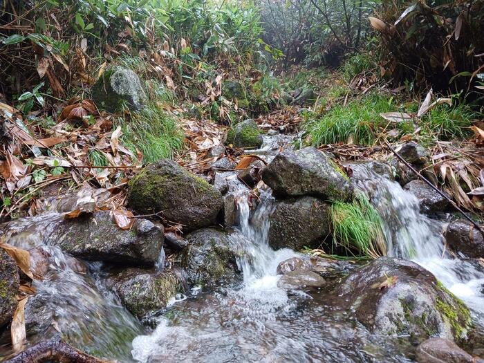 増水中のナデッ窪登山道