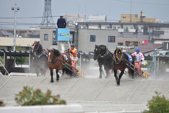 ばんえい競馬