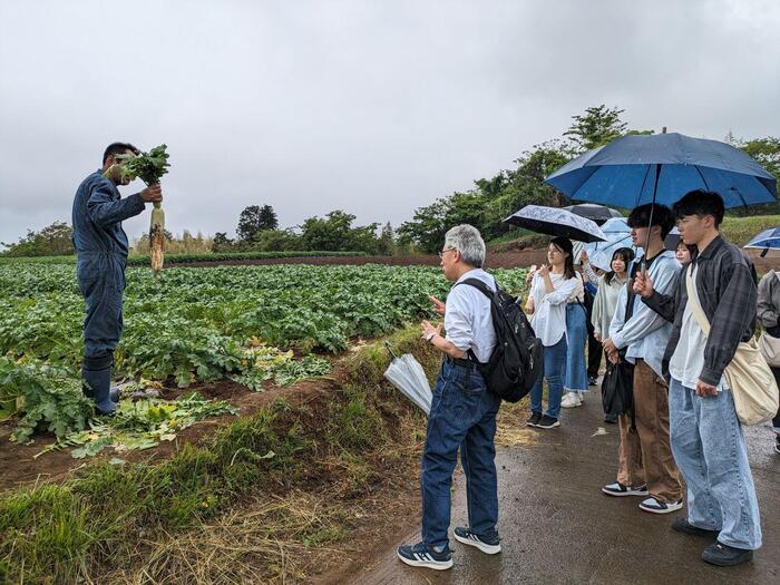 箱根西麓野菜生産農家