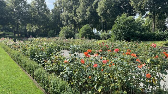 スイスを代表する植物園