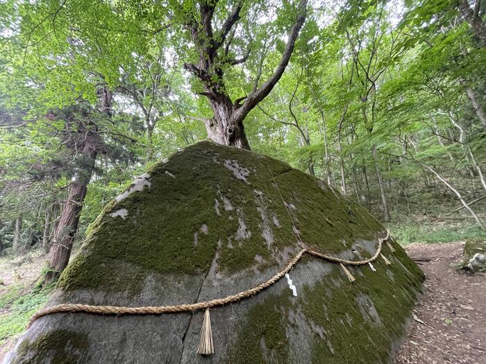 丹内山神社 肌石