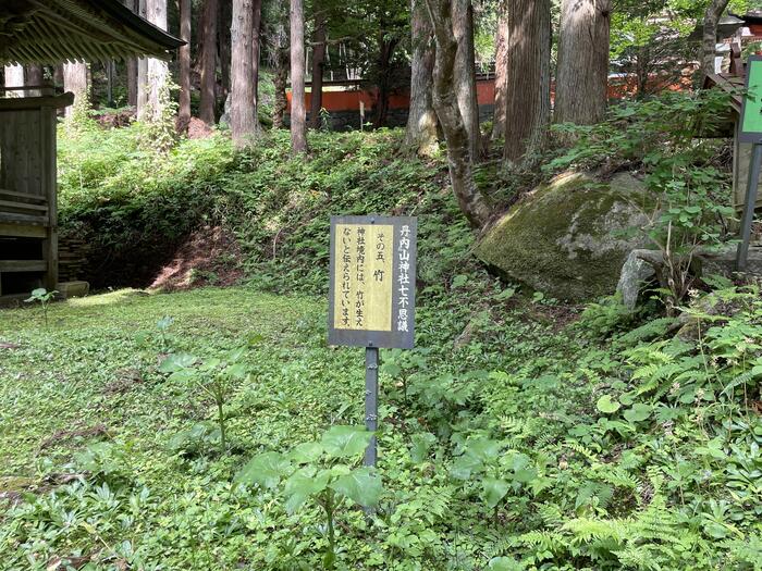 丹内山神社