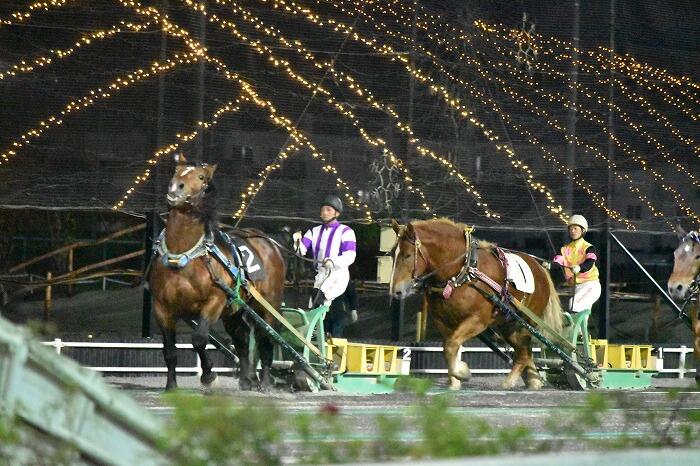 ばんえい競馬