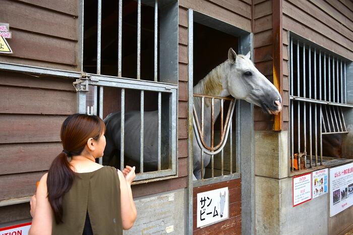 ふれあい動物園