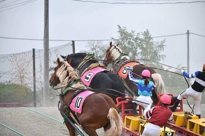 ばんえい競馬