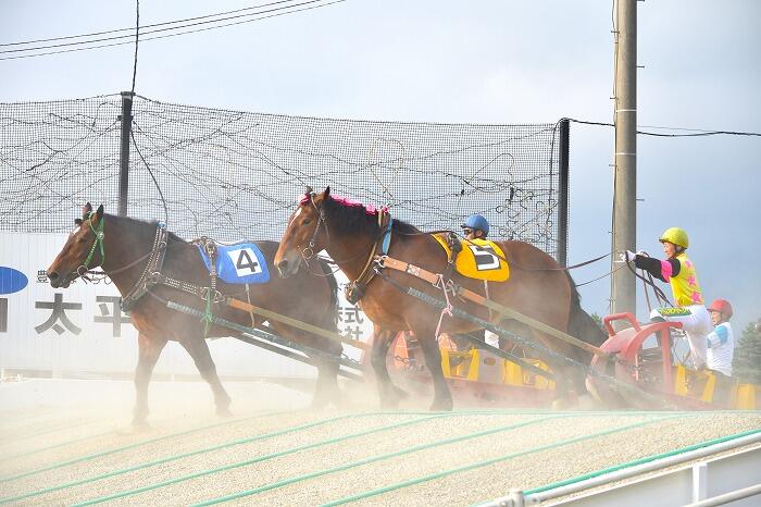 ばんえい競馬