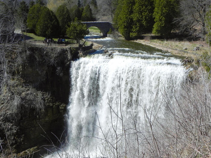 ウェブスター滝（Webster Falls）