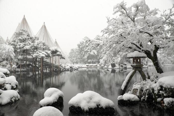 兼六園の雪吊り