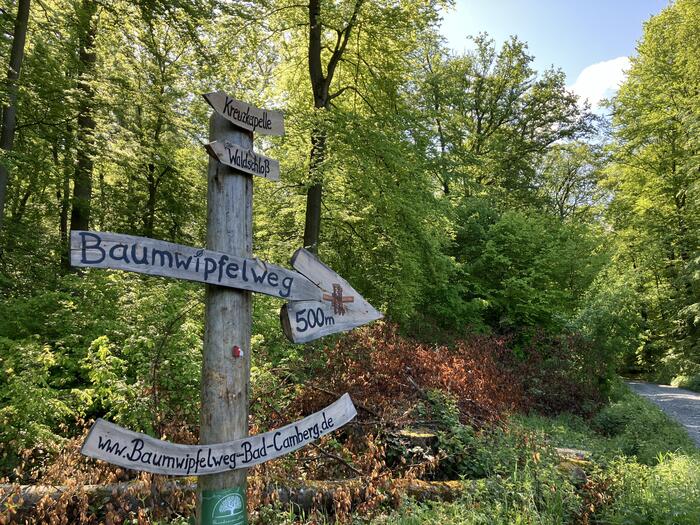 Baumwipfelweg Bad Camberg