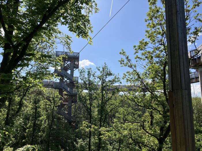 Baumwipfelweg Bad Camberg